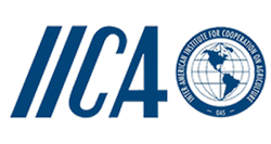 IICA